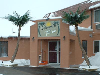 Icicles and palm trees in Sauk Centre