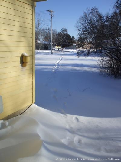 Footprints in the snow: Sauk Centre, Minnesota