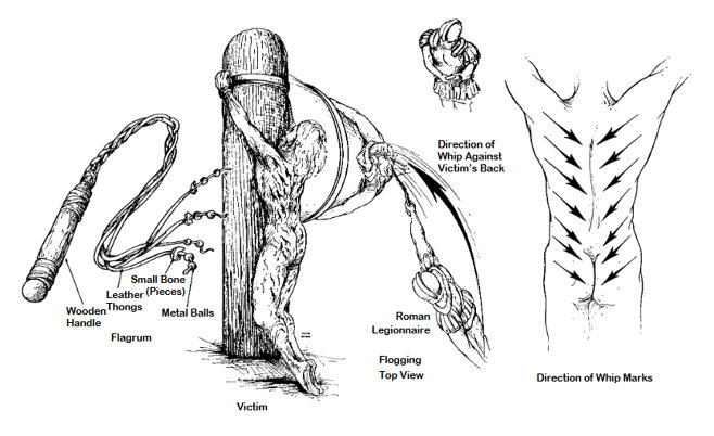 William D. Edwards et al.'s Figure 2: 'Scourging. Left, Short whip (flagrum) with lead balls and sheep bones tied into leather thongs. Center left, Naked victim tied to flogging post. Deep stripelike lacerations were usually associated with considerable blood loss. Center right, View from above, showing position of lictors. Right, Inferomedial direction of wounds.' From 'On the Physical Death of Jesus Christ'. JAMA (March 21, 1986) used w/o permission.