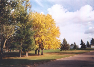 Sauk Centre Country Club's golf course in the fall