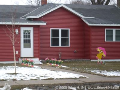 Flowers of spring, Minnesota style, again: sauk centre