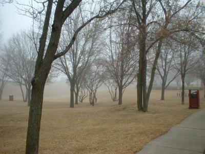 Fog in one of Sauk Centre's parks: in January.