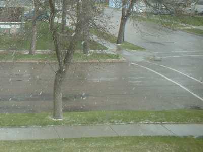 April showers in Minnesota: Sauk Centre snow at 3:20, April 27, 2005.