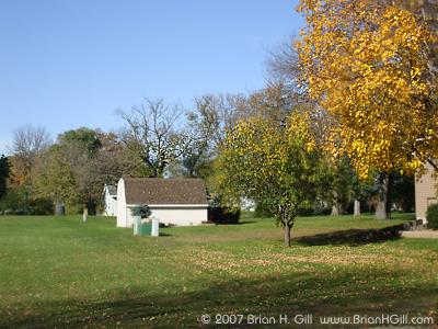Green trees, yellow trees, and a ready-to-rake lawn in Sauk Centre, Minnesota