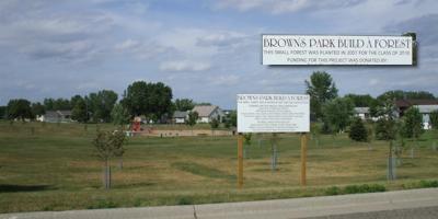 Brown's Park Build-A-Forest: Sauk Centre, Minnesota