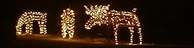 Moose of the North: Christmas decorations in Sauk Centre