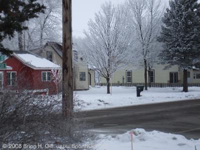 Frost on trees: fairyland in Minnesota