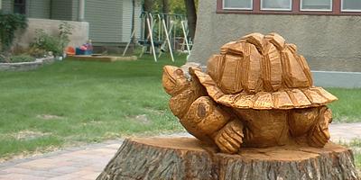 Silent sentinle in Sauk Centre: a wooden turtle